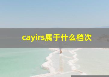 cayirs属于什么档次