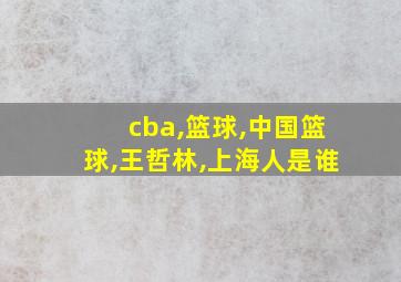 cba,篮球,中国篮球,王哲林,上海人是谁