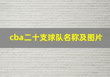 cba二十支球队名称及图片