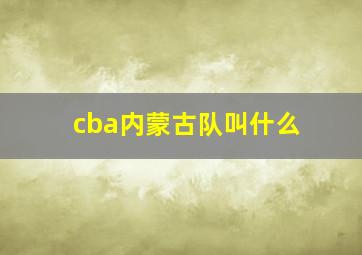 cba内蒙古队叫什么