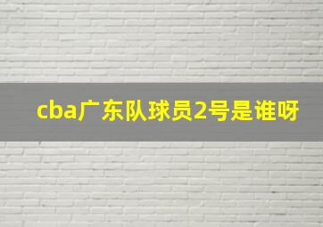 cba广东队球员2号是谁呀