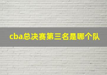 cba总决赛第三名是哪个队