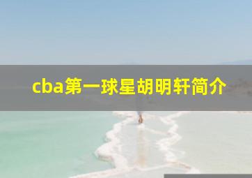 cba第一球星胡明轩简介