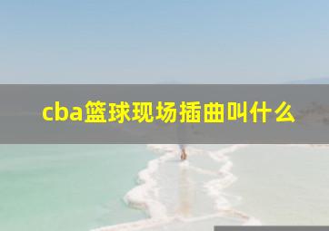 cba篮球现场插曲叫什么