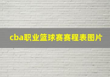 cba职业篮球赛赛程表图片