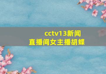 cctv13新闻直播间女主播胡蝶