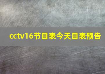 cctv16节目表今天目表预告