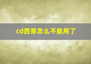 cd西蒂怎么不能用了