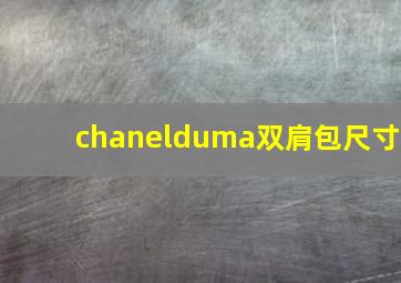 chanelduma双肩包尺寸