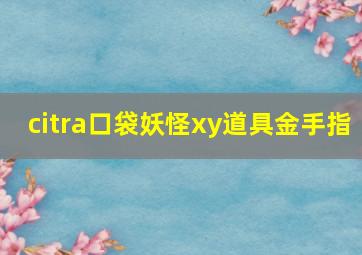 citra口袋妖怪xy道具金手指