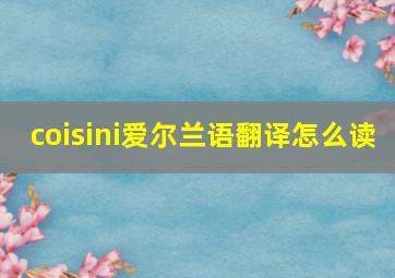 coisini爱尔兰语翻译怎么读