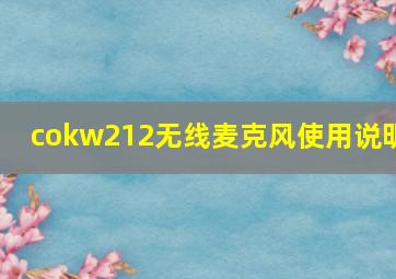 cokw212无线麦克风使用说明