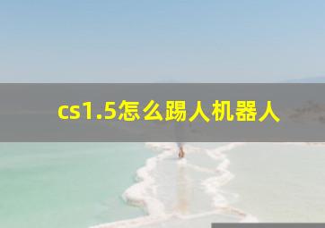 cs1.5怎么踢人机器人