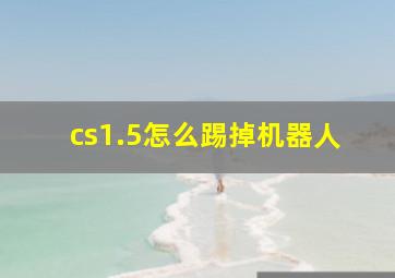 cs1.5怎么踢掉机器人