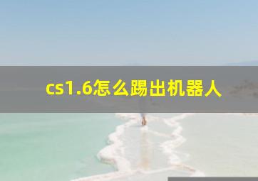 cs1.6怎么踢出机器人