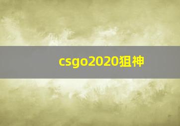 csgo2020狙神