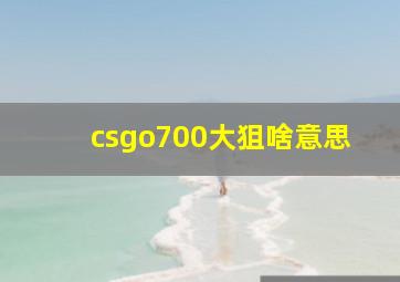 csgo700大狙啥意思