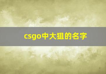 csgo中大狙的名字