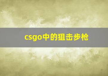 csgo中的狙击步枪