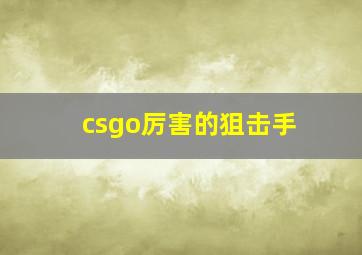 csgo厉害的狙击手