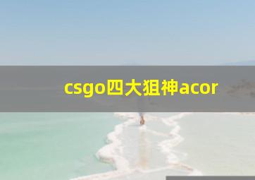 csgo四大狙神acor