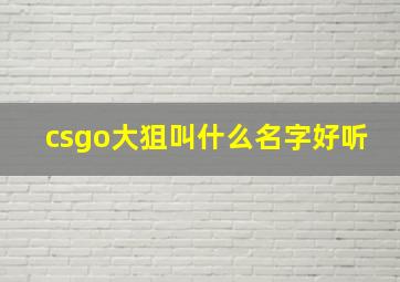 csgo大狙叫什么名字好听