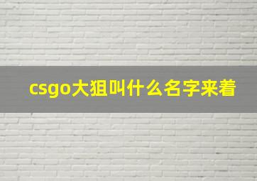 csgo大狙叫什么名字来着