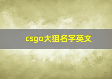 csgo大狙名字英文