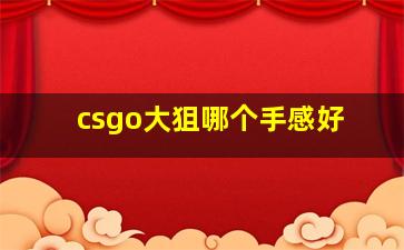 csgo大狙哪个手感好