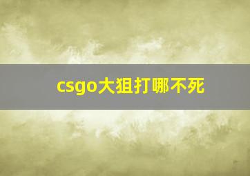 csgo大狙打哪不死