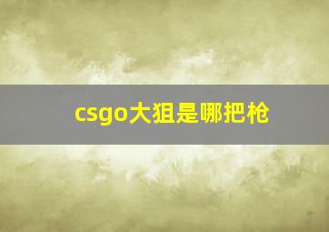 csgo大狙是哪把枪