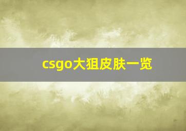 csgo大狙皮肤一览