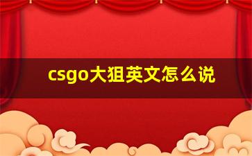 csgo大狙英文怎么说