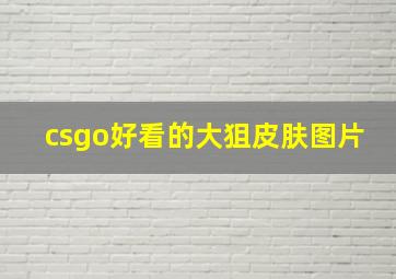 csgo好看的大狙皮肤图片