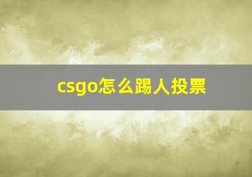 csgo怎么踢人投票