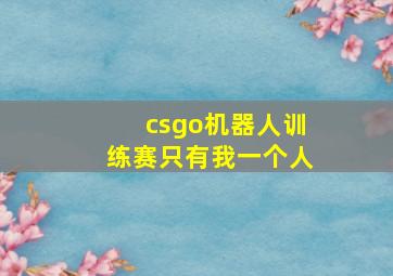 csgo机器人训练赛只有我一个人