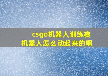 csgo机器人训练赛机器人怎么动起来的啊