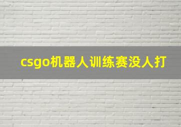 csgo机器人训练赛没人打