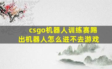 csgo机器人训练赛踢出机器人怎么进不去游戏