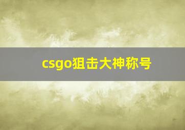 csgo狙击大神称号