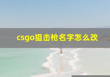 csgo狙击枪名字怎么改