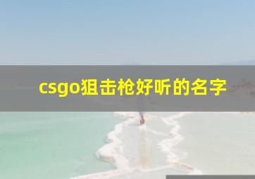 csgo狙击枪好听的名字