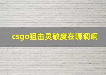 csgo狙击灵敏度在哪调啊