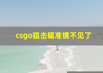 csgo狙击瞄准镜不见了