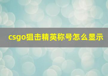 csgo狙击精英称号怎么显示