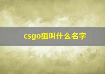 csgo狙叫什么名字