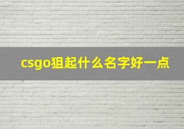 csgo狙起什么名字好一点