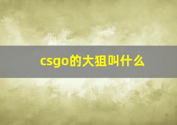 csgo的大狙叫什么