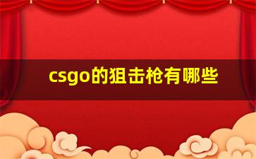 csgo的狙击枪有哪些