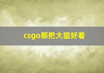 csgo那把大狙好看